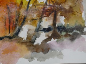 Neige en sous-boisP1000399