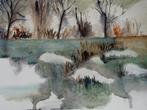 Campagne sous la neige