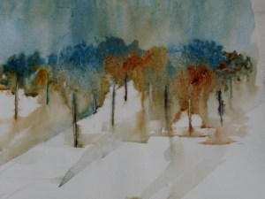 Campagne enneigéeP1000409