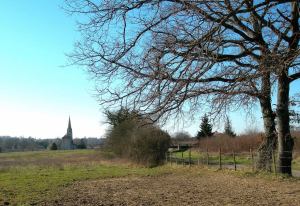 Campagne en hiver2008-02-10