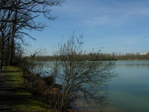 Hiver sur le lacDSCN5350