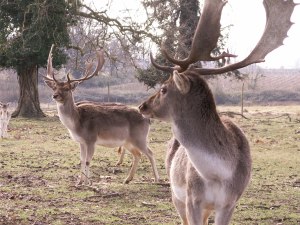 Près de chez moiKONICA MINOLTA DIGITAL CAMERA