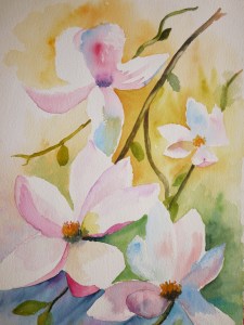 Fleurs de magnoliaP1010743